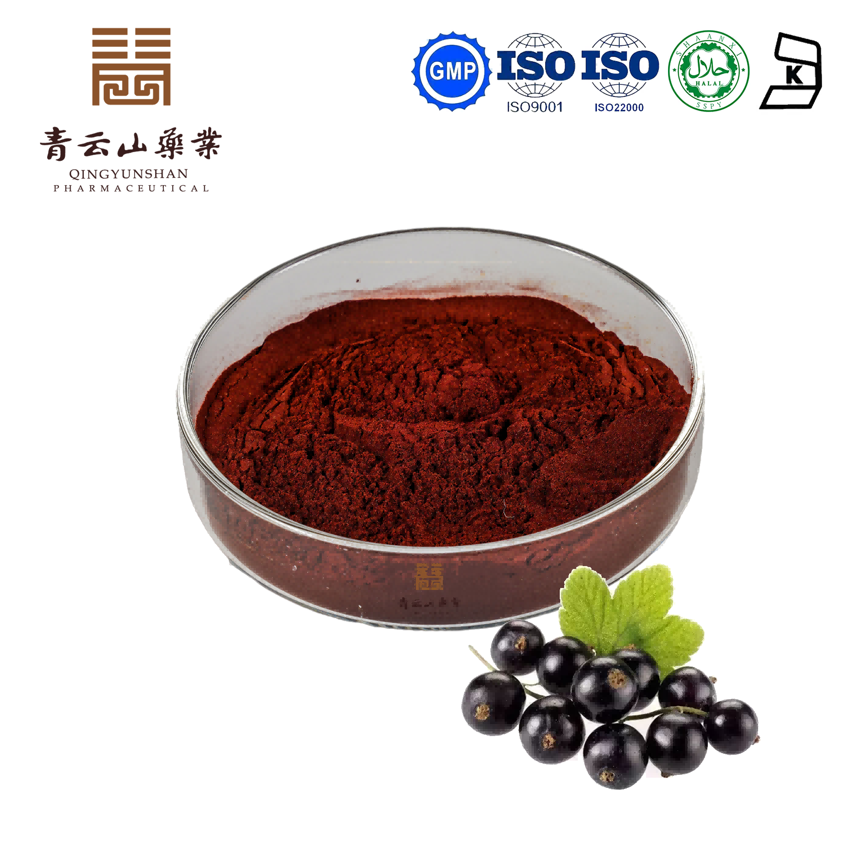 Black Currant Extract Guangdong Qingyunshan Pharmaceutical Co